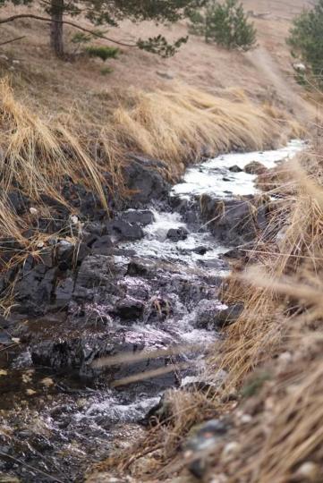 Вилла Wild Nest Zlatibor Bear Экстерьер фото